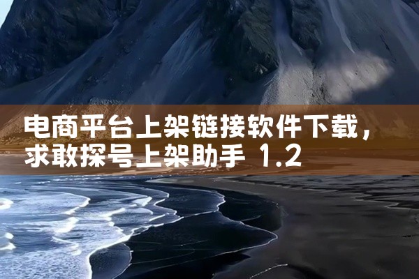 电商平台上架链接软件下载