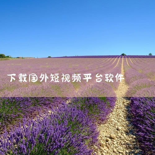 1. 通过应用商店、第三方下载平台或官方网站下载国外短视频app。2. 应用商店提供直接下载服务，例如苹果的App Store或谷歌的Play Store。3. 在应用商店中搜索并安装如TikTok、,