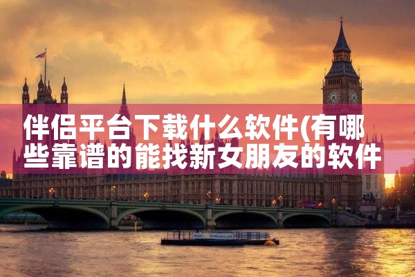 伴侣平台下载什么软件
