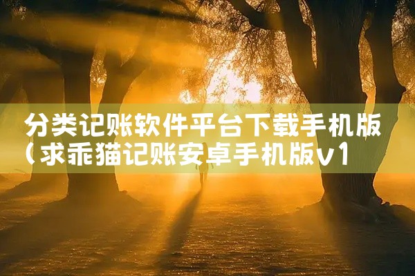 分类记账软件平台下载手机版