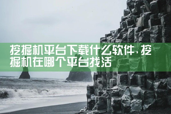 挖掘机平台下载什么软件