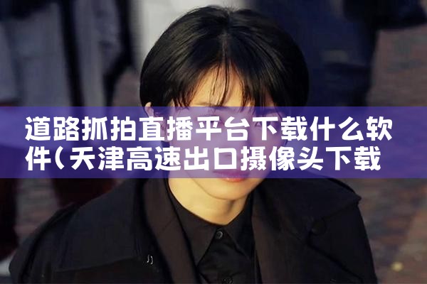 道路抓拍直播平台下载什么软件