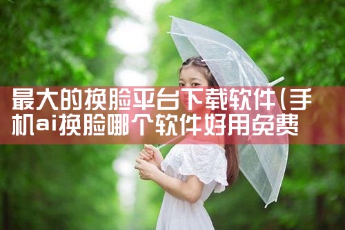 最大的换脸平台下载软件